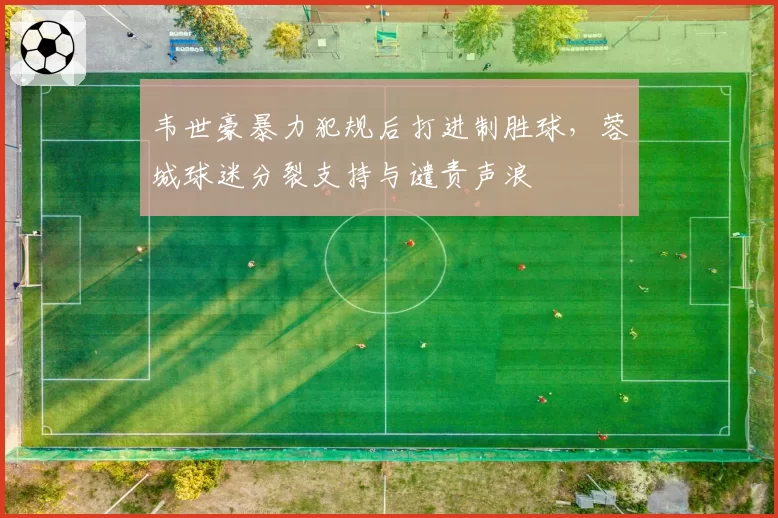 韦世豪暴力犯规后打进制胜球，蓉城球迷分裂支持与谴责声浪