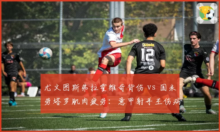 尤文图斯弗拉霍维奇背伤 vs 国米劳塔罗肌肉疲劳：意甲射手王伤病恢复进度对比