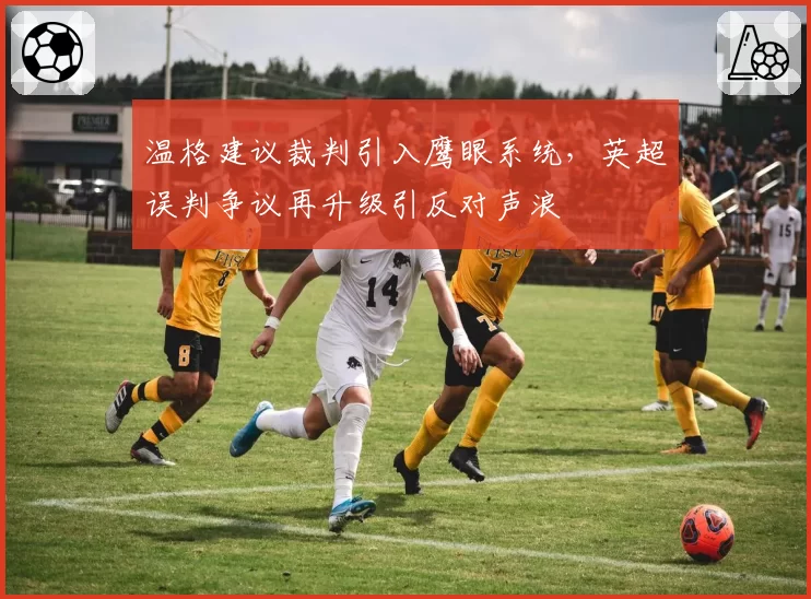 温格建议裁判引入鹰眼系统,英超误判争议再升级引反对声浪